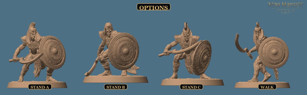 Undead Legion Sword and Shield Sands Dynasty | Option: Stand B | front | DND miniature  Rescale Miniatures