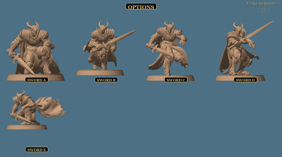 Knight of Bahamut Sword Silver Crusade | group photo | DND miniatures  Rescale Miniatures