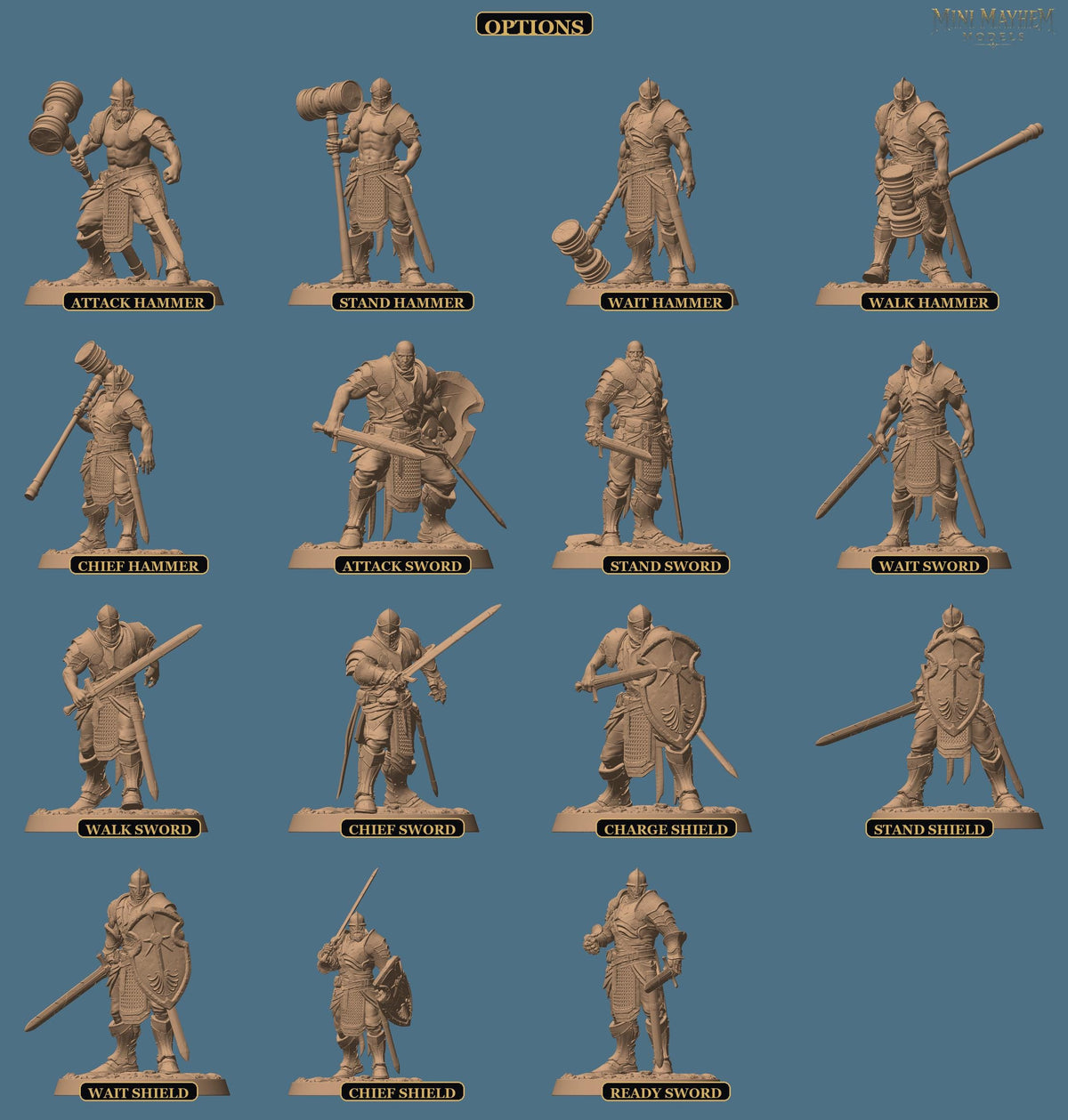 Knight of Valor Warden of Lies | group photo | DND miniatures  Rescale Miniatures