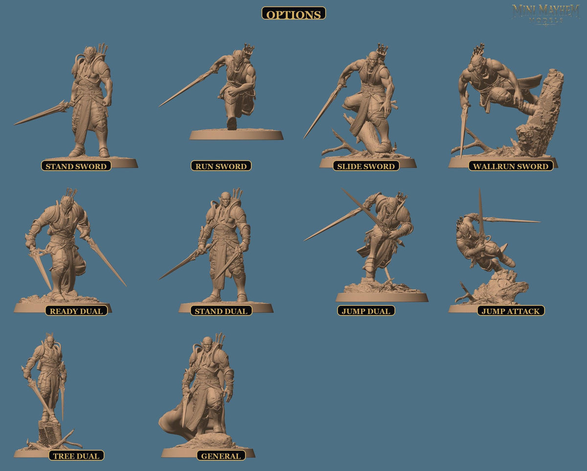 Moon Elf Sentinel Sword Warden of Lies | group photo | DND miniatures  Rescale Miniatures