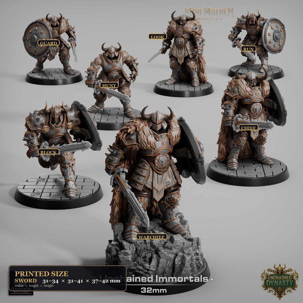 Unchained Immortal Sword Unchained Dynasty | group photo | DND miniatures  Rescale Miniatures