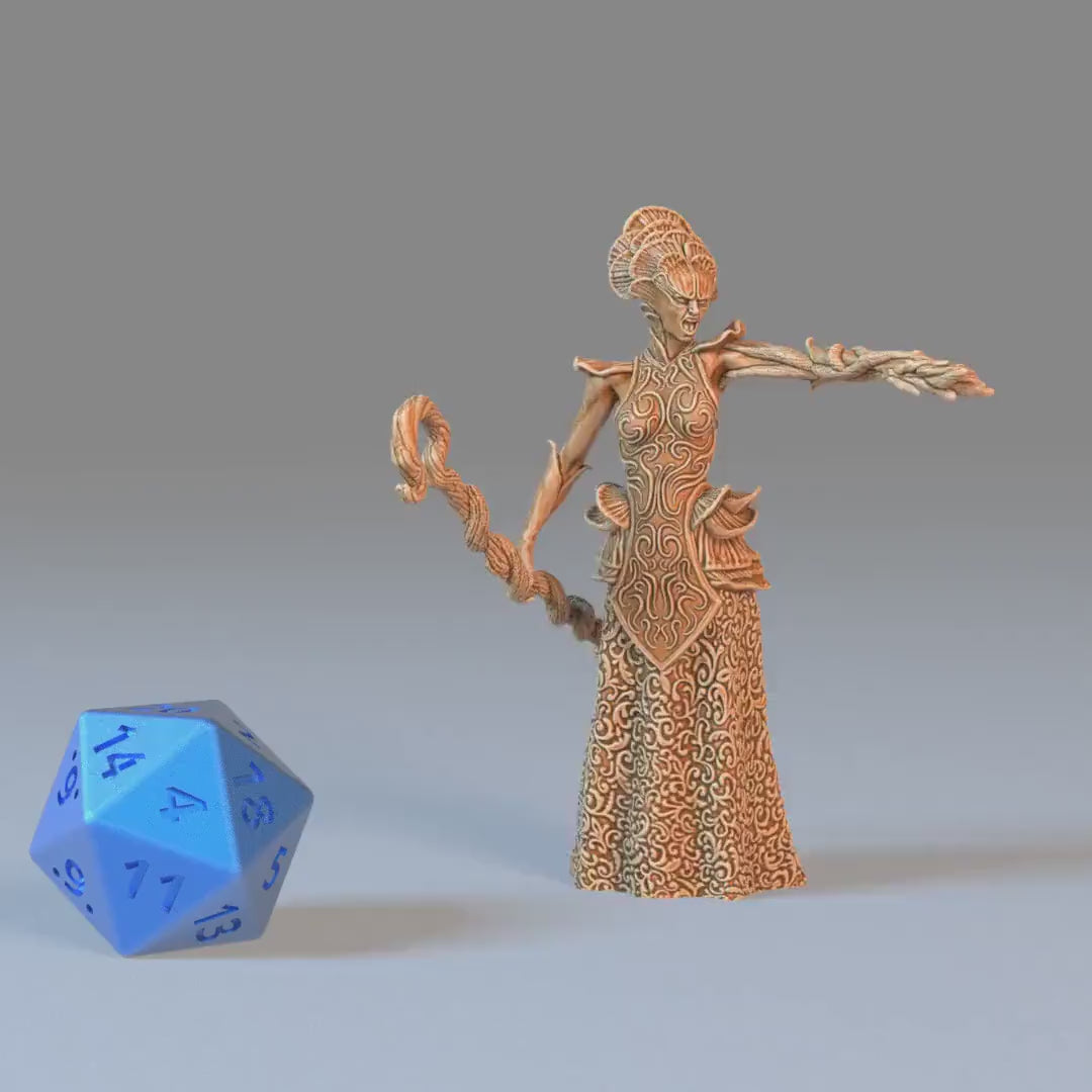 Fungi Demoness Set of 3 DND Miniatures | Eternal Fungi | 28mm & 32mm Resin DND miniature video