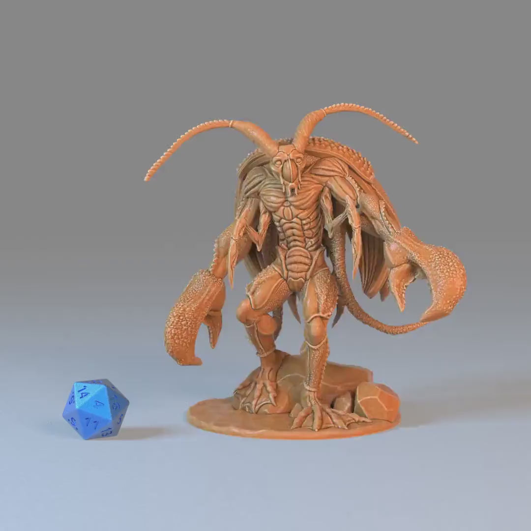Lobster Cockroach Set of 3 DND Miniatures | Aquatic Journey | 28mm & 32mm Resin DND miniature video