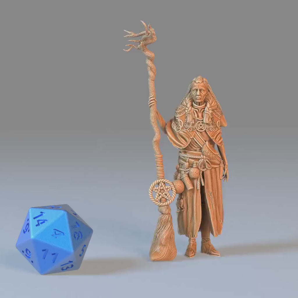 Swamp Hag Set of 3 DND Miniatures | Eternal Fungi | 28mm & 32mm Resin DND miniature video