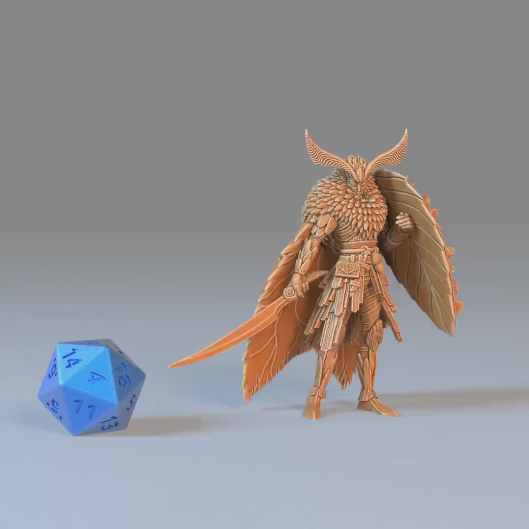 Moth Warrior Set of 3 DND Miniatures | Eternal Fungi | 28mm & 32mm Resin DND miniature video